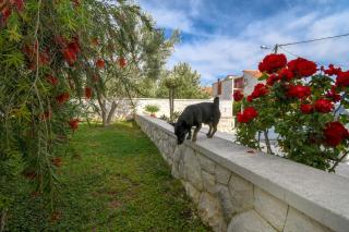 Camino Apartment - 6