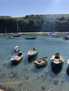 Dog Friendly Cottage in Pembrokeshire - 9