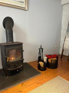 Dog Friendly Cottage in Pembrokeshire - Little Newcastle - 8