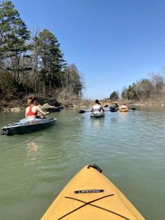 Majestic Nordic Tiny House with Private Deck, Grill and Fire Pit in Arkansas - 9