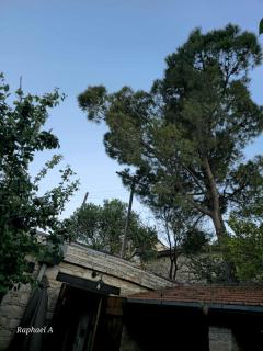 Οίκος Λόφου-oikos Lofou - 4