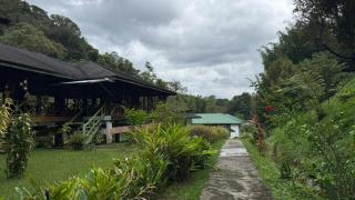 Mahua Lodge and Campsite - 4