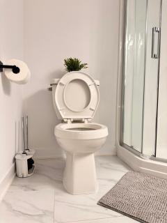 Cozy and Spacious Suite - Private Ensuit Bath - King Bed - Ultra Fast Wifi - Free Parking - Smart TV - 5