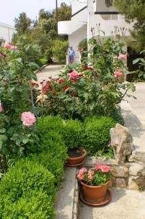 Apartment Mandre 523a - Kolan - 2