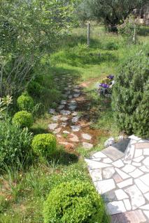 Apartments with parking space Pinezici, Krk - 5319 - Pinezici - 1