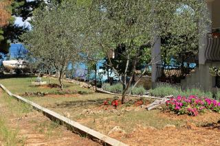 Apartments by the sea Tkon, Pasman - 698 - Tkon (Tuconio) - 1