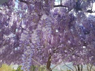 Studio Slano 8599a - 1