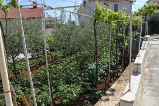 Apartments with parking space Pula - 7647 - 1