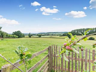 1 Bed in Bitterley 44231 - 6