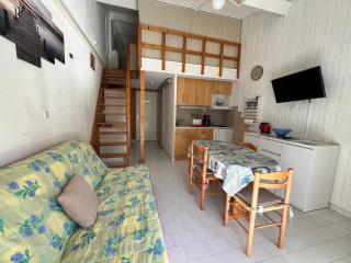 Maison de vacances climatisé, pour 4 pers, résidence securisee MAS DE LA PLAGE, terrasse Sud, 4 couchages - 250m de la plage de PORTIRAGNES PLAGE LRMP30 - 6