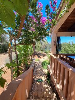 Secluded fisherman's cottage Krknata, Dugi otok - 397 - 1