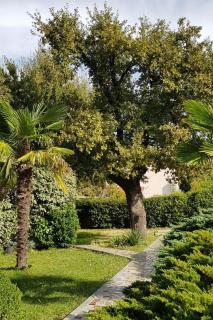 Apartments with a parking space Malinska (Krk) - 2390 - 3