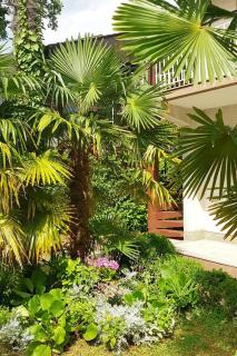 Apartments with a parking space Malinska (Krk) - 2390 - 2