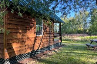 Off-Grid Riverside Cabin in Belfast, NY that Sleeps 8 and Perfect Nature Escape - 2