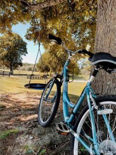 Charming Boutique Farm Stay Near Nashville – Cozy Horse Stall Suite - 1