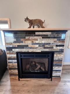 Charming Cabin with Panoramic Mountain Views near Pony in the Tobacco Root Foothills, Montana - 4