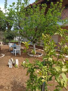 Dimitra's Little House - 8