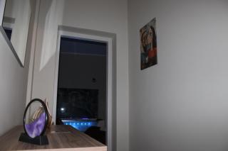 S&S - Zizza Wellness - 6