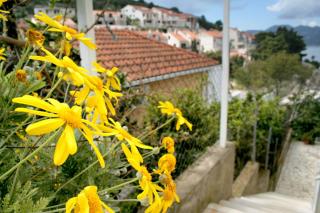 Apartments by the sea Medvinjak, Korcula - 4439 - 1