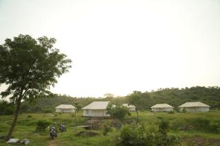 Jawai jungle camp - 0