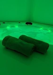 Holiday house with a parking space Vukovar, Slavonija - 22809 - 2