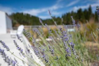 Monte de Torquines - Casa de Campo - 2