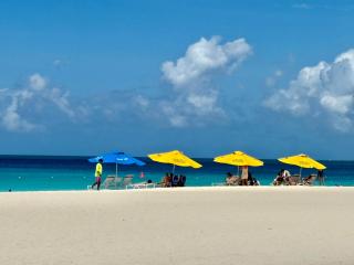 Fantastic Private Tropical Villa in Palm Beach with Breakfast - Palm/Eagle Beach - 4