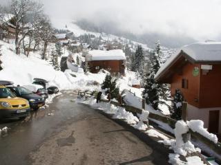 Appartement Châtel 5 pers, Terrasse, Animal admis - FR-1-676-77 - 1