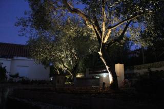 Apartments by the sea Lukoran (Ugljan) - 836 - 2