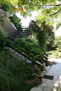 Apartments with parking space Jadranovo, Crikvenica - 5533 - 1