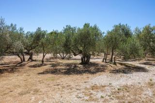 Apartments with parking space Jezera, Murter - 798 - 1