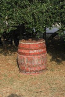 Apartments by the sea Kraj, Pasman - 331 - Tkon - 1