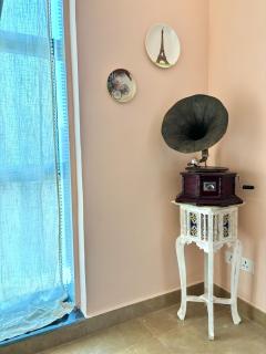 Paris Style Luxe Apartment In The Heart Of Noida - 2