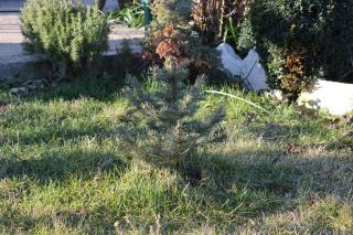 Apartments with a parking space Marina, Trogir - 1093 - 1