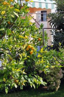 Apartment Zadar - Diklo 5880e - Zadar - 1