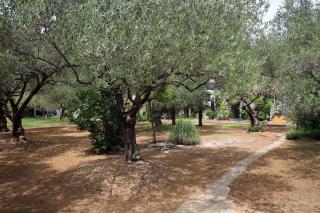 Family friendly seaside apartments Vodice - 928 - 1