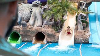 Evenia Olympic Suites - 8