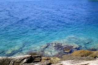 Seaside secluded apartments Cove Torac, Hvar - 575 - 7