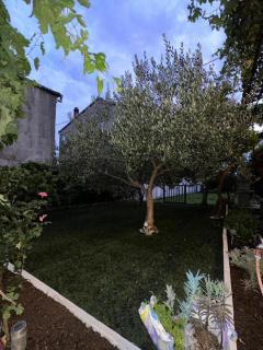 Apartments with parking space Kastel Kambelovac, Kastela - 21997 - 3