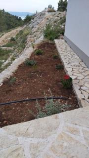 Isolated apartments with a parking space Cove Medvidina, Hvar - 22019 - 1