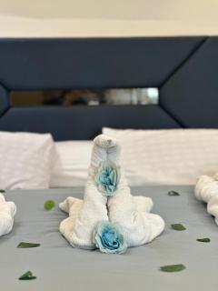 Silent Majesty Pyramids View INN - 4