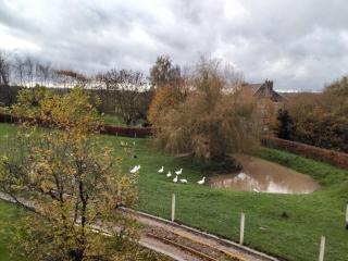 séjour détente à la campagne - 7