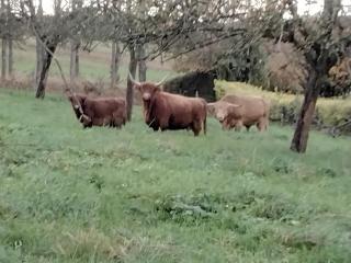 séjour détente à la campagne - 9