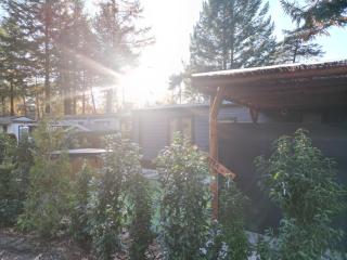 Tiny House Forestia met HOTTUB - 8