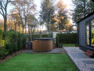 Tiny House Forestia met HOTTUB - 2