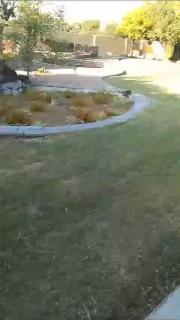 Grace guesthouse - 7