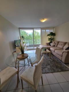 PROVIDENCIA PREMIUM DEPARTAMENTO con Parcking WIFI - 8