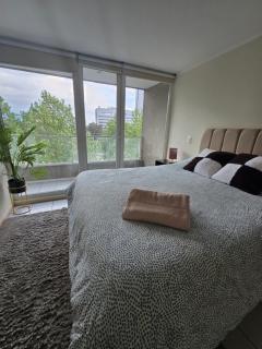 PROVIDENCIA PREMIUM DEPARTAMENTO con Parcking WIFI - 2