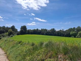 Casa familiar en Empordà rural, a 20 min de la playa - 3