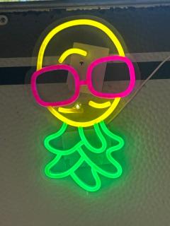 Large camper in the olive grove - 7